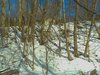 Down the hill